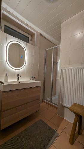 a bathroom with a sink and a shower and a mirror at Chalet Apartments Ferius inklusive Jokercard im Sommer in Saalbach Hinterglemm