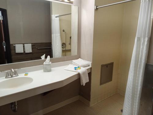 ein Bad mit einem Waschbecken und einem Spiegel in der Unterkunft Paradise Shores Hotel in Holcombe