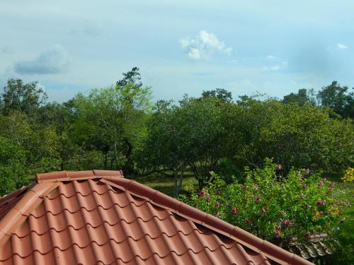 a red tiled roof with trees in the background at Becks Bed & Breakfast in Crooked Tree