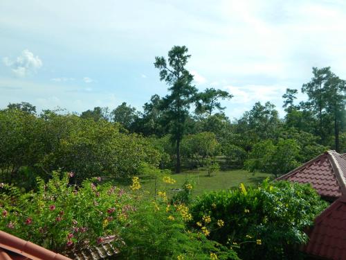 a view of a garden with flowers and trees at Becks Bed & Breakfast in Crooked Tree