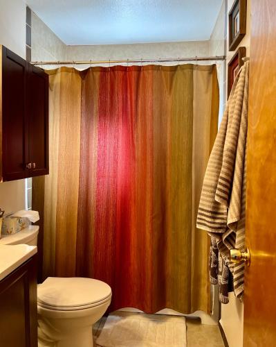 a bathroom with a shower curtain and a toilet at Downtown Historic East-Side Coyote House 2B 2BA in Santa Fe