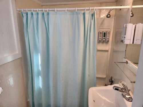 y baño con cortina de ducha y lavamanos. en Jonathan Edwards Motel, en Dennis Port