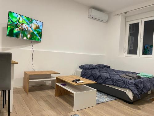 una camera con letto e TV a schermo piatto a parete di Zoka a Surčin