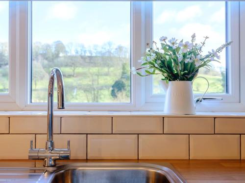 a kitchen sink with a vase of flowers in a window at 2 Bed in Bewdley 77721 in Highley
