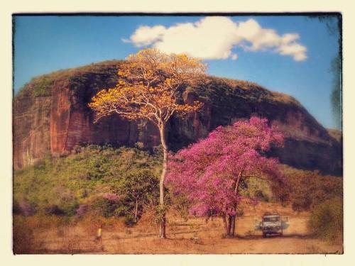 a truck parked in front of a mountain with a tree at Casa Bosque da Saudade in Barra do Garças