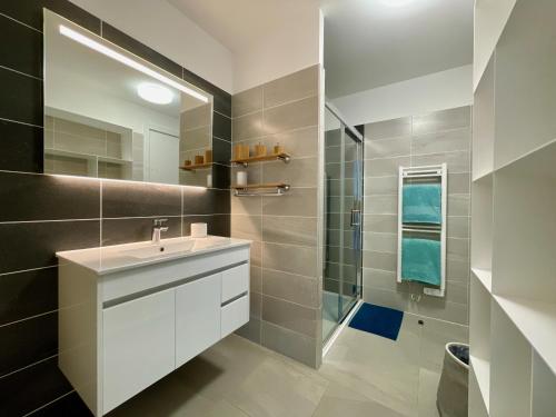 une salle de bain avec un lavabo et une douche dans l'établissement Appartamentu A Leccia, à Grosseto-Prugna