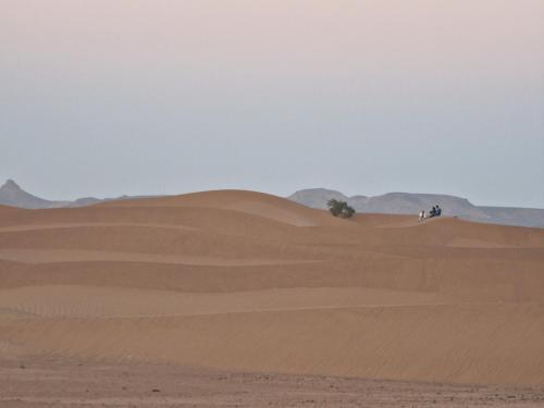 Gambar di galeri bagi Camel House camp di Mhamid