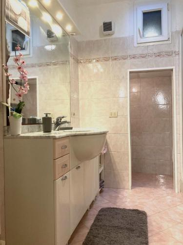 a bathroom with a sink and a shower at Pae veciu casa vacanze in Monterosso al Mare
