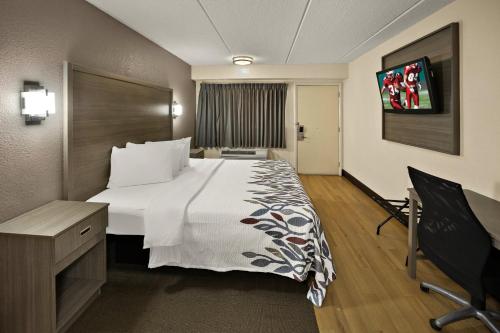 a hotel room with a large bed and a television at Red Roof Inn Chapel Hill - UNC in Chapel Hill