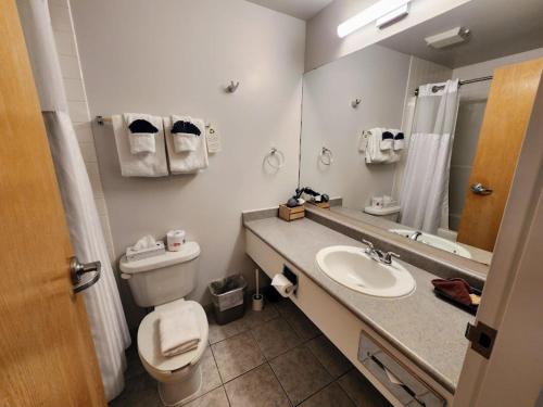 a bathroom with a toilet and a sink and a mirror at Sunset Mountain Inn in Canmore