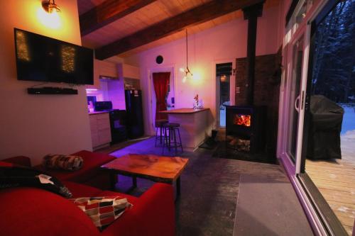 Chalets BSLにあるテレビまたはエンターテインメントセンター