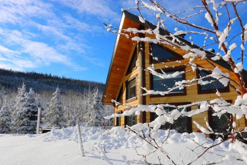 冬のChalets BSLの様子