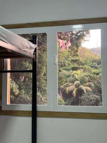 a window with a view of a garden at JAZMIN HOUSEs JR in Providencia