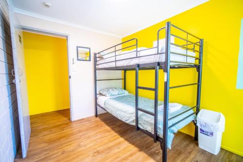 a bedroom with two bunk beds in a yellow wall at The Hostel, Airlie Beach in Airlie Beach