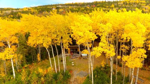 Saint-Simon-de-RimouskiにあるChalets BSLの黄色い木々の森の真ん中にある家