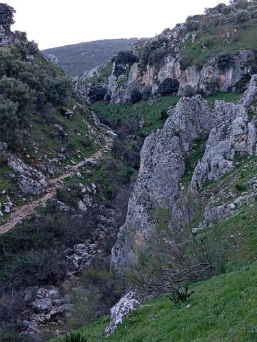 a view of a mountain with rocks and grass at Amapola Alojamiento Rural in Zuheros