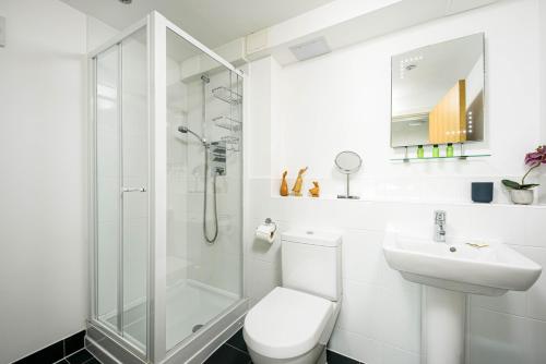 a bathroom with a shower and a toilet and a sink at Lakeside property with spa on a nature reserve Bryony HM35 in Somerford Keynes