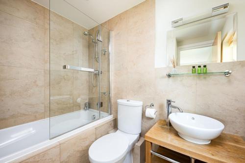 een badkamer met een toilet, een wastafel en een douche bij Lakeside property with spa access on a nature reserve Kingfisher Lodge CW80 in Somerford Keynes