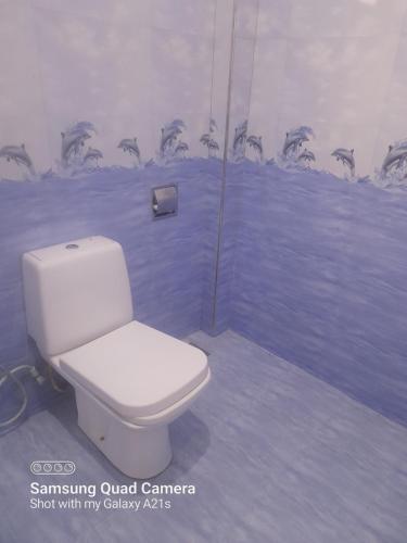 a white toilet in a bathroom with blue walls at Eura Villa in Bentota