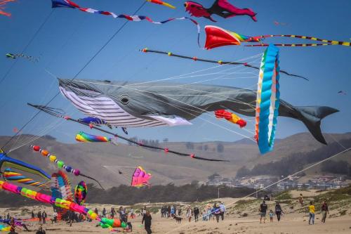 a group of people flying kites on a beach at HarborWalk Inn in Morro Bay