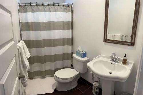 a bathroom with a toilet and a sink at Lake Access with a View! Lake Wallenpaupack . in Greentown