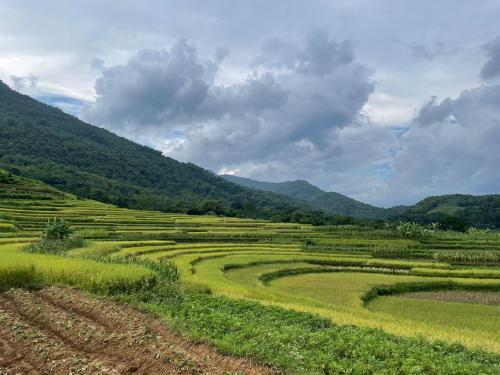 a field of green grass with mountains in the background at Pù Luông JUNGLE KING 1 HOMESTAY in Pu Luong