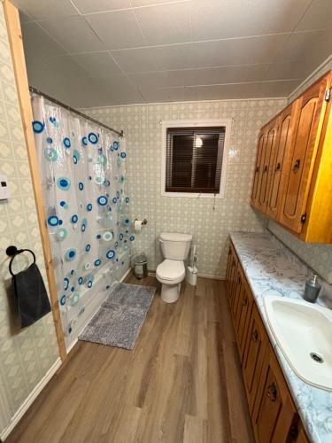 ein Bad mit einem WC, einer Dusche und einem Waschbecken in der Unterkunft Maison L'éternitoise in Riviere Eternite