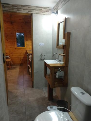 a bathroom with a sink and a toilet at Vertientes de Lolog in Junín de los Andes