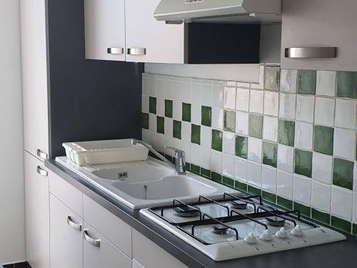 uma cozinha com um lavatório e um fogão em Appartement Évian-les-Bains, 2 pièces, 4 personnes - FR-1-498-72 em Évian-les-Bains