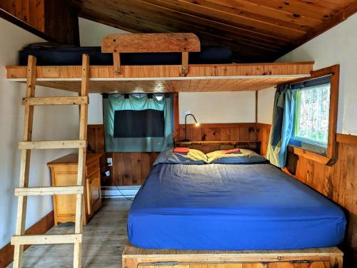 a bedroom with a bunk bed and a ladder at Chalets Aux Berges du Lac Castor in Saint-Paulin