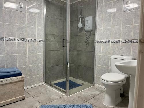 a bathroom with a shower with a toilet and a sink at 1 Bed in Gilwern 52882 in Gilwern