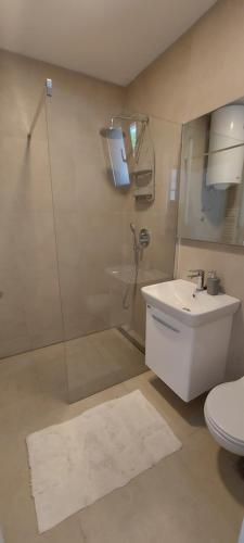 uma casa de banho com um chuveiro, um WC e um lavatório. em Villa Krivokapic em Trebinje