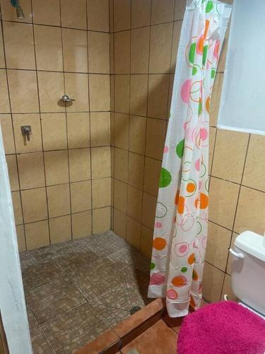 a shower with a shower curtain in a bathroom at Apartamento Nilxon in Granada