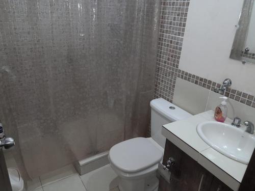 a bathroom with a shower and a toilet and a sink at DEPARTAMENTO COMODO DUPLEX Zona Norte in Cochabamba