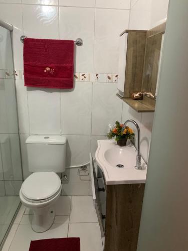 un piccolo bagno con servizi igienici e lavandino di Casa/Piscina/Praia do Francês a Marechal Deodoro