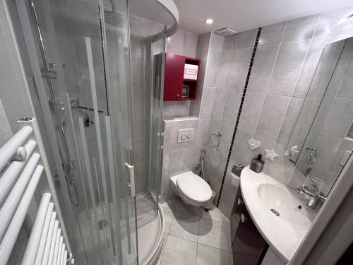 a bathroom with a shower and a toilet and a sink at Appartement 2 Chambres avec Climatisation et Jardin, à 400m de la Plage - Les Issambres - FR-1-768-72 in La Garonnette-Plage