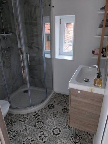 une salle de bain avec douche et lavabo dans l'établissement Appartement cosy Wintzenheim + terrasse, à Wintzenheim
