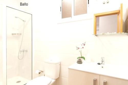 a bathroom with a toilet and a sink and a shower at 2 bedrooms appartement with wifi at Las Palmas de Gran Canaria in Las Palmas de Gran Canaria