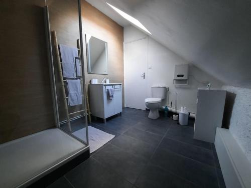 een badkamer met een toilet, een wastafel en een douche bij La petite maison de Chavroches - proche du Pal 