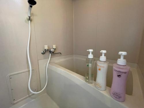 Sakura Sands Hotel Shinsaibashi