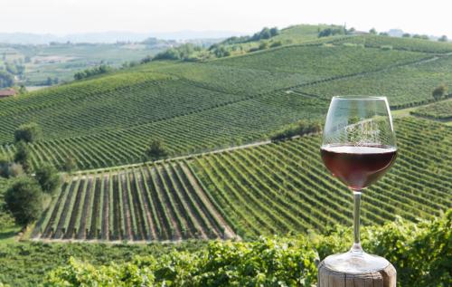 Fotografie z fotogalerie ubytování Agriturismo Albarossa v destinaci Nizza Monferrato