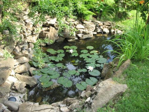 a pond with lily pads and flowers in a garden at Guest House Slivek in Slivek