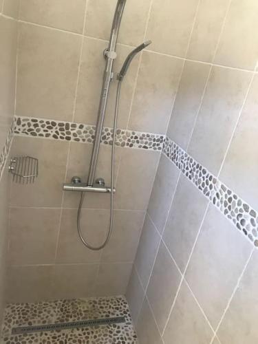 une douche avec pommeau de douche dans une salle de bain dans l'établissement Maison Provençale avec piscine, à Sérignan-du-Comtat
