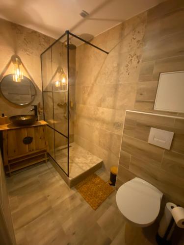 uma casa de banho com um chuveiro, um WC e um lavatório. em Cote spa suite nord em Saint-Victoret