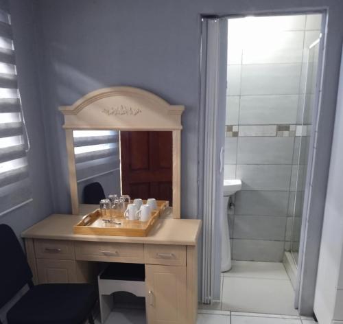 a bathroom with a sink and a mirror and a shower at Nasrec Guesthouse in Johannesburg