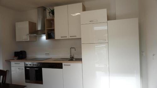 a kitchen with white cabinets and a sink at Apartment Tonelli in Ledenitzen
