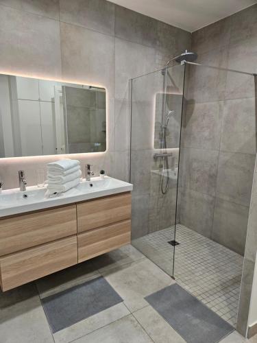 een badkamer met een douche en een wastafel bij Somptueux appartement proche stade de france in Enghien-les-Bains