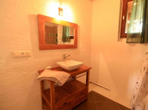 une salle de bain avec un lavabo et un miroir dans l'établissement Maison nature 5 min Mirepoix, à Roumengoux