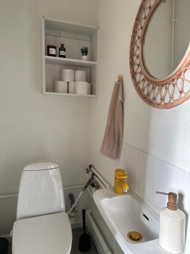 a bathroom with a toilet and a sink and a mirror at Illu Rental - Grand seaview vacation house in Ilulissat