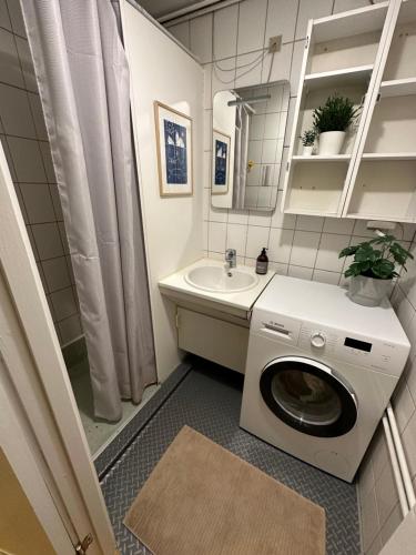 uma casa de banho com uma máquina de lavar roupa e um lavatório em Grand seaview vacation house, Ilulissat em Ilulissat